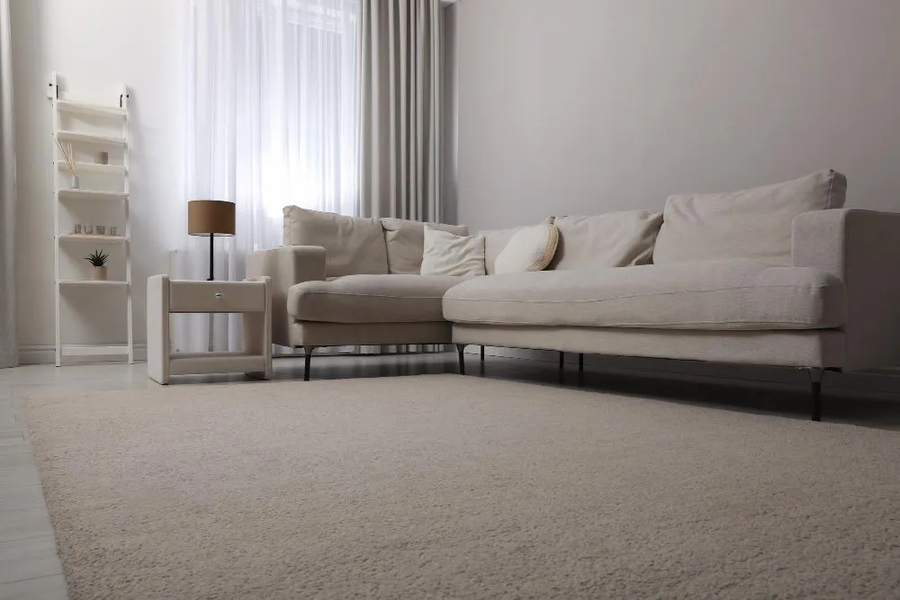 Carpet Repair
