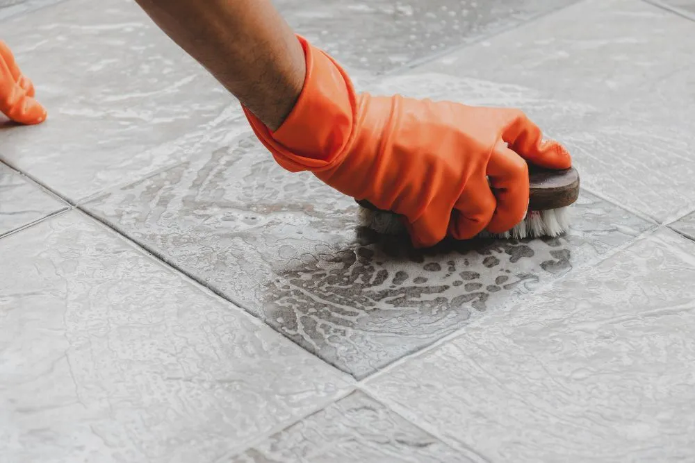 Professional carpet and upholstery cleaning in Yucaipa, CA