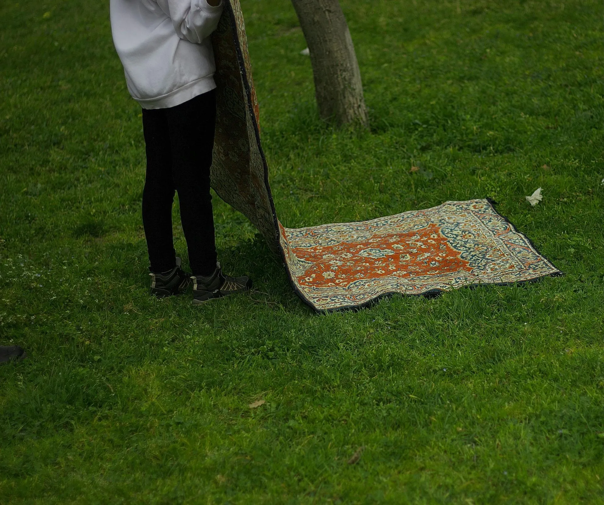 Person unfurling a patterned rug on green grass near a tree.