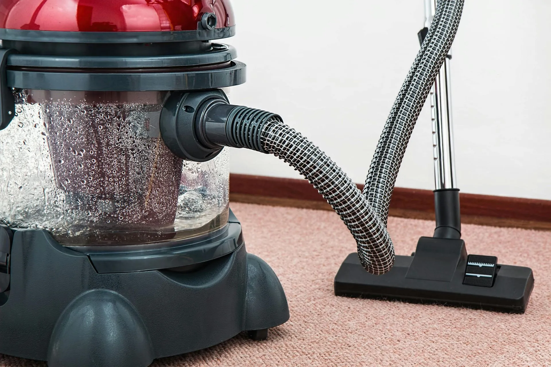 Professional carpet cleaning in progress